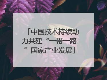 中国技术持续助力共建“一带一路”国家产业发展