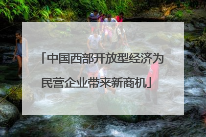 中国西部开放型经济为民营企业带来新商机