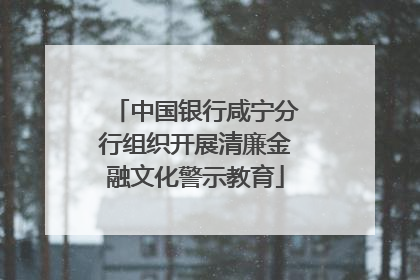 中国银行咸宁分行组织开展清廉金融文化警示教育