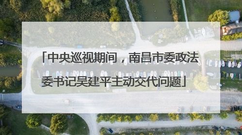 中央巡视期间，南昌市委政法委书记吴建平主动交代问题