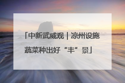 中新武威观｜凉州设施蔬菜种出好“丰”景