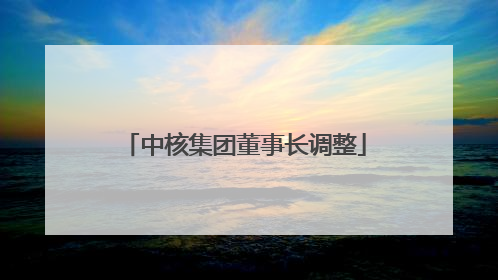 中核集团董事长调整
