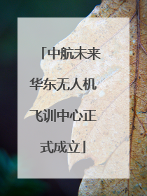 中航未来华东无人机飞训中心正式成立