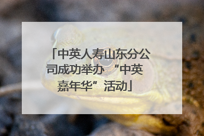 中英人寿山东分公司成功举办 “中英嘉年华”活动