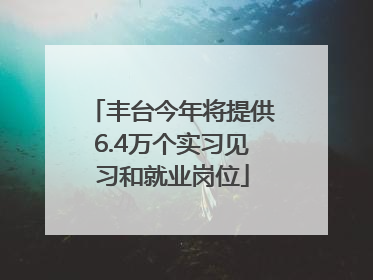 丰台今年将提供6.4万个实习见习和就业岗位