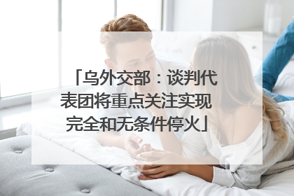 乌外交部：谈判代表团将重点关注实现完全和无条件停火