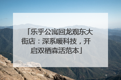 乐乎公寓回龙观东大街店：深系暖科技，开启双栖森活范本
