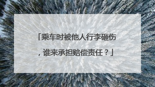 乘车时被他人行李砸伤，谁来承担赔偿责任？