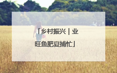 乡村振兴｜业旺鱼肥夏捕忙