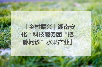 乡村振兴｜湖南安化：科技服务团“把脉问诊”水果产业