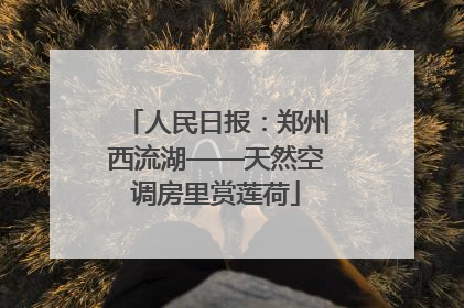 人民日报：郑州西流湖——天然空调房里赏莲荷