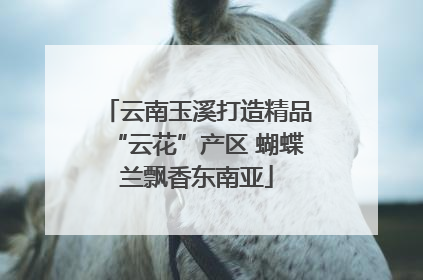 云南玉溪打造精品“云花”产区 蝴蝶兰飘香东南亚