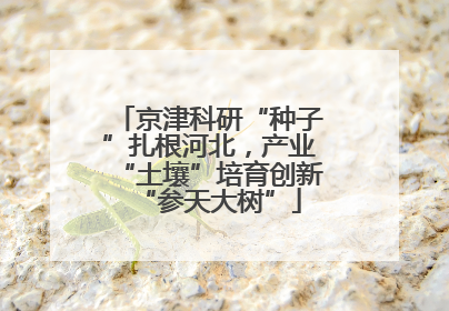 京津科研“种子”扎根河北，产业“土壤”培育创新“参天大树”