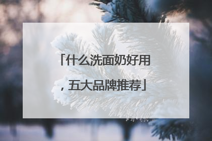 什么洗面奶好用，五大品牌推荐