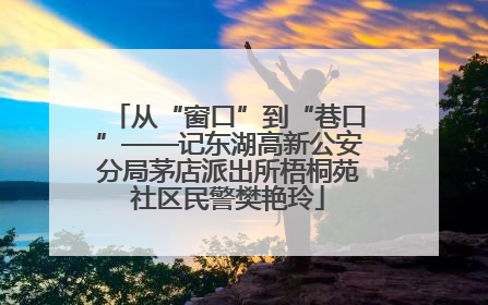 从“窗口”到“巷口”——记东湖高新公安分局茅店派出所梧桐苑社区民警樊艳玲