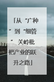 从“广种”到“细管” 关岭枇杷产业的跃升之路