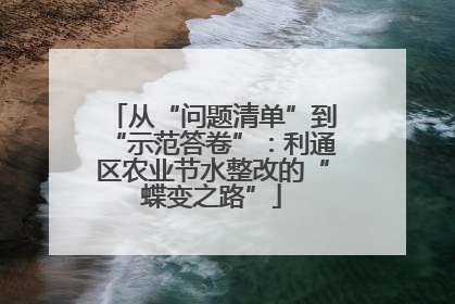 从“问题清单”到“示范答卷”：利通区农业节水整改的“蝶变之路”