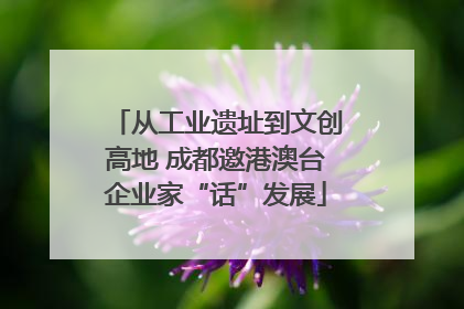 从工业遗址到文创高地 成都邀港澳台企业家“话”发展