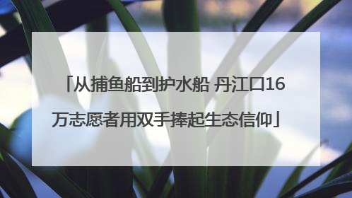 从捕鱼船到护水船 丹江口16万志愿者用双手捧起生态信仰