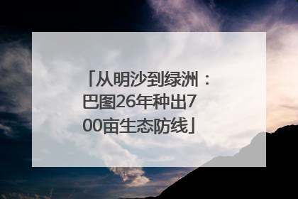 从明沙到绿洲：巴图26年种出700亩生态防线