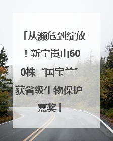 从濒危到绽放！新宁崀山600株“国宝兰”获省级生物保护嘉奖