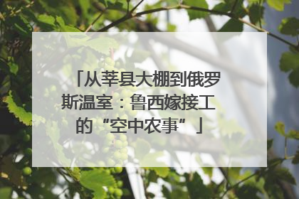 从莘县大棚到俄罗斯温室：鲁西嫁接工的“空中农事”