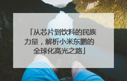 从芯片到饮料的民族力量，解析小米东鹏的全球化高光之路