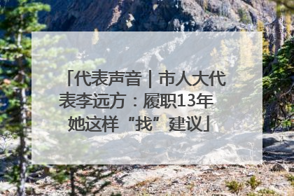 代表声音｜市人大代表李远方：履职13年 她这样“找”建议