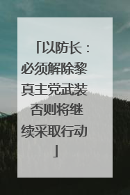 以防长：必须解除黎真主党武装 否则将继续采取行动