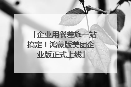 企业用餐差旅一站搞定！鸿蒙版美团企业版正式上线