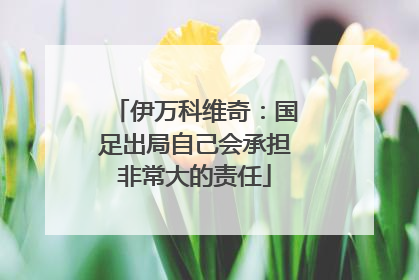伊万科维奇：国足出局自己会承担非常大的责任