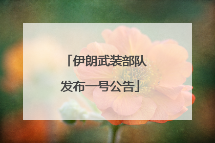 伊朗武装部队发布一号公告