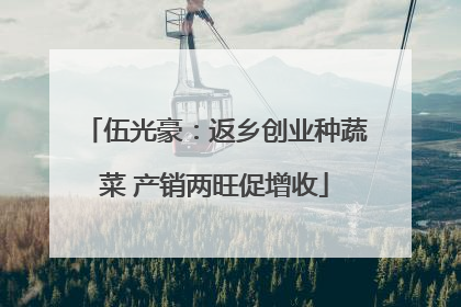 伍光豪：返乡创业种蔬菜 产销两旺促增收