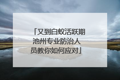 又到白蚁活跃期 池州专业防治人员教你如何应对