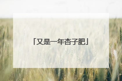 又是一年杏子肥