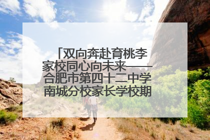 双向奔赴育桃李 家校同心向未来——合肥市第四十二中学南城分校家长学校期末总结会圆满召开