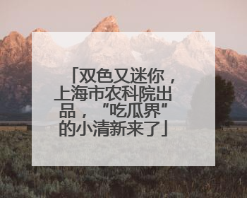 双色又迷你，上海市农科院出品，“吃瓜界”的小清新来了