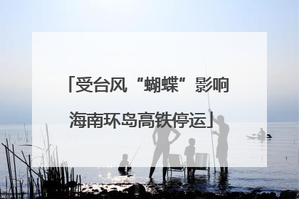 受台风“蝴蝶”影响 海南环岛高铁停运