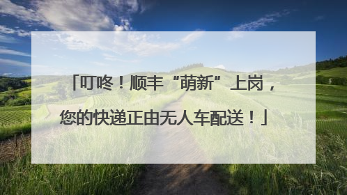叮咚！顺丰“萌新”上岗，您的快递正由无人车配送！