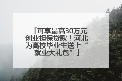 可享最高30万元创业担保贷款！河北为高校毕业生送上“就业大礼包”