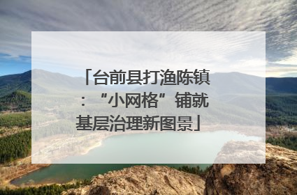 台前县打渔陈镇：“小网格”铺就基层治理新图景