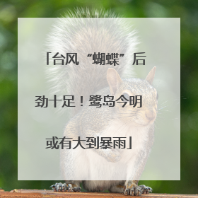 台风“蝴蝶”后劲十足！鹭岛今明或有大到暴雨