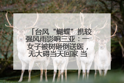 台风“蝴蝶”携较强风雨影响三亚：一女子被树砸倒送医，无大碍当天回家 当地已紧急清障