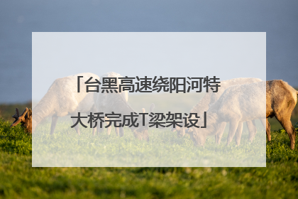 台黑高速绕阳河特大桥完成T梁架设