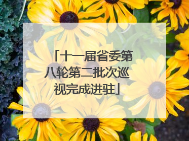 十一届省委第八轮第二批次巡视完成进驻