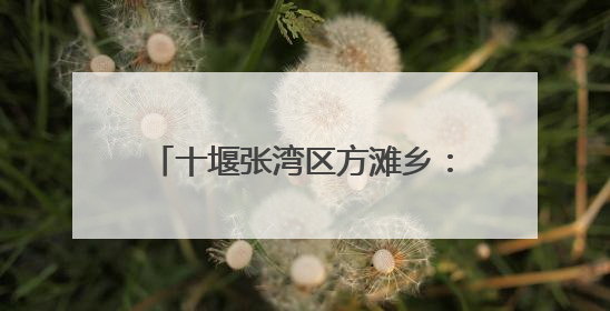 十堰张湾区方滩乡：以调研促发展 助力文旅康养产业提质增效