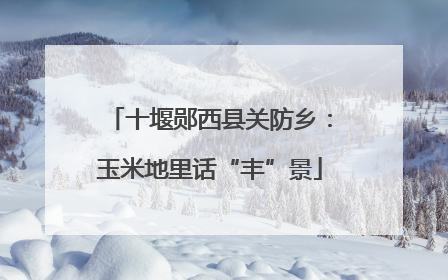 十堰郧西县关防乡：玉米地里话“丰”景