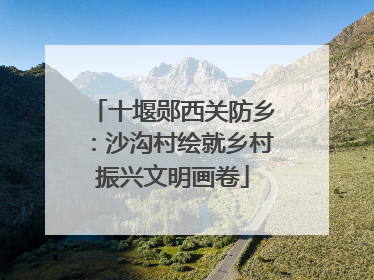 十堰郧西关防乡：沙沟村绘就乡村振兴文明画卷