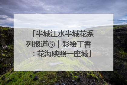 半城江水半城花系列报道⑤｜彩绘丁香：花海映照一座城