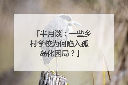 半月谈：一些乡村学校为何陷入孤岛化困局？
